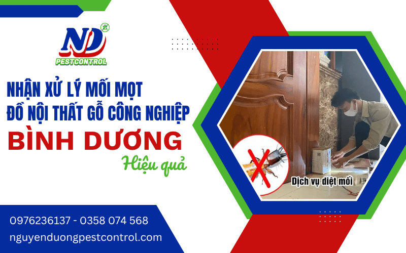 xử lý mối nội thất gỗ công nghiệp Bình Dương