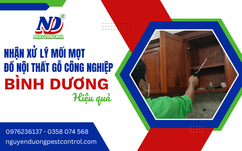 xử lý mối nội thất gỗ công nghiệp Bình Dương