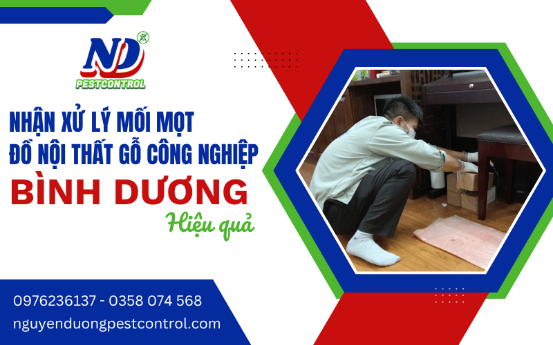 xử lý mối nội thất gỗ công nghiệp Bình Dương